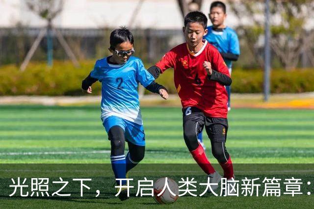 光照之下，开启人类大脑新篇章：2026诺奖揭晓