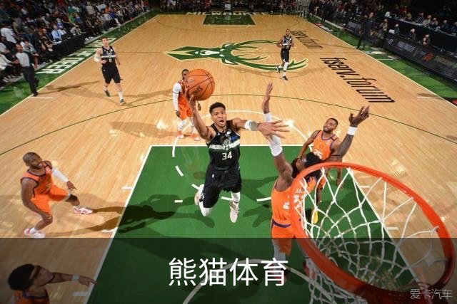 熊猫体育公司简介图片